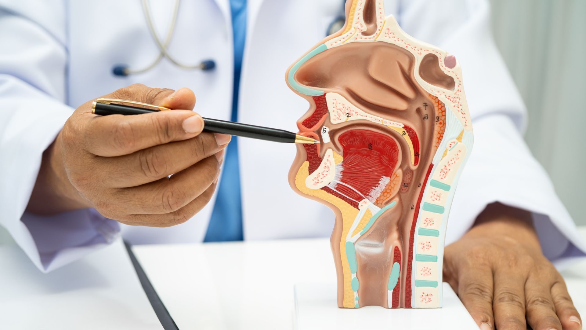 Why Condition Specific Rhinology Pages Influence High Intent Searches