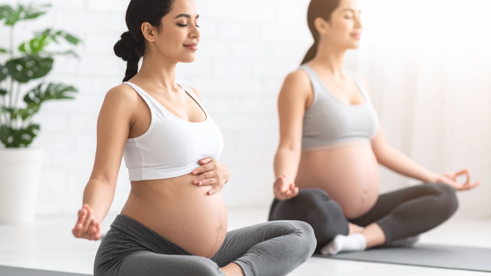 How Digital Clarity Helps Patients Choose the Right Integrative Health Provider