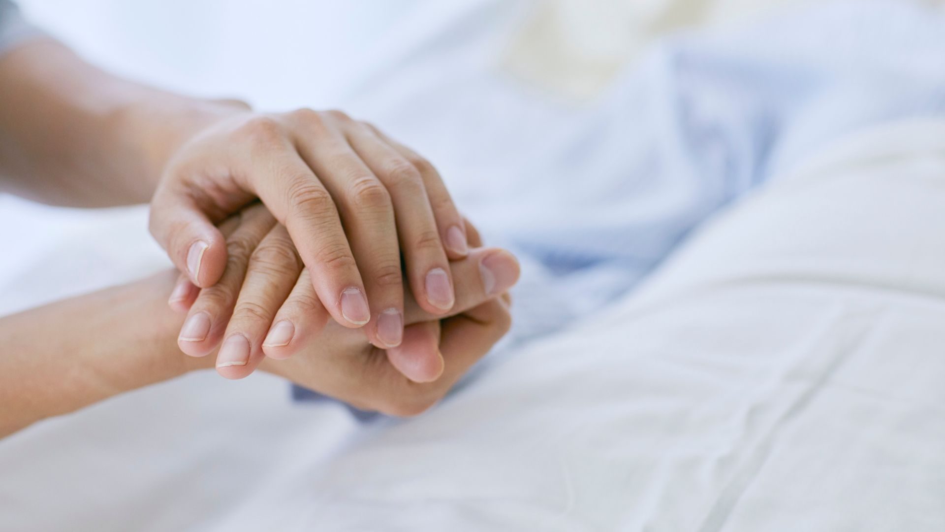 How Hospice Service Categories Help Families Understand Their Care Options
